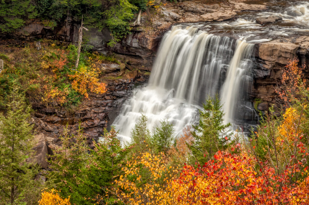 blackwater falls state park